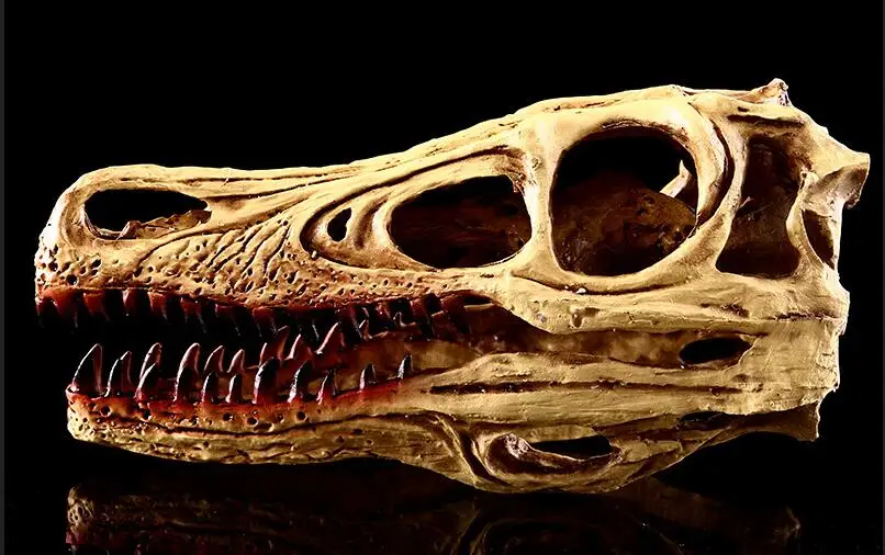 Wild fox skull model Animal model Resin Skull blood heteromorphic head crafts statue home decoration
Wild fox skull model Animal model Resin Skull blood heteromorphic head crafts statue home decoration