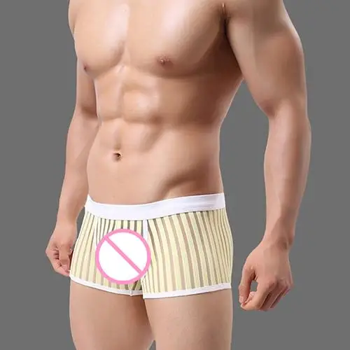 Multi Colors New Breathable Bar Mesh Bulge Pouch Striped Men's Boxer Shorts Underwear See Through Boxer Shorts Briefs
Multi Colors New Breathable Bar Mesh Bulge Pouch Striped Men's Boxer Shorts Underwear See Through Boxer Shorts Briefs