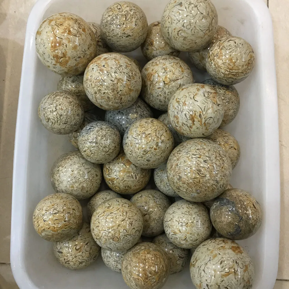 1kg Wholesale of natural quartz crystal polished Dinosaur bone sphere fossils gift
1kg Wholesale of natural quartz crystal polished Dinosaur bone sphere fossils gift