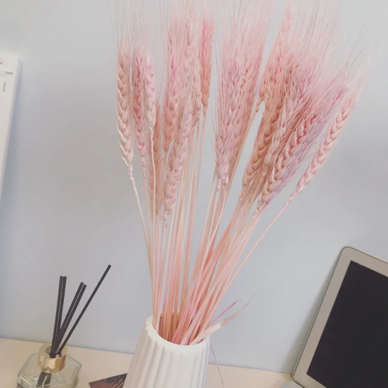 50 PCS Wheat Ears Artificial Plants For Home Decorations Festive Supplies For Milk Tea Shop home, garden, dining room decoration
50 PCS Wheat Ears Artificial Plants For Home Decorations Festive Supplies For Milk Tea Shop home, garden, dining room decoration