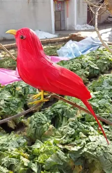 small 12cm foam&feathers red bird artificial bird handicraft,garden decoration prop gift a2522
small 12cm foam&feathers red bird artificial bird handicraft,garden decoration prop gift a2522