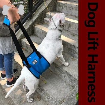 Old Age Dog Walking Auxiliary Belt Dog Hind Limb Joint Protection Belt Injured Disabled Dog Power Assisting Strap
Old Age Dog Walking Auxiliary Belt Dog Hind Limb Joint Protection Belt Injured Disabled Dog Power Assisting Strap