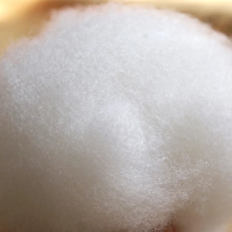 Factory Outlets Filling PP Cotton Floss Cotton Handmade DIY Pillow Filler Hollow Polyester Fiber Sintepon 500g Knitting Filler
Factory Outlets Filling PP Cotton Floss Cotton Handmade DIY Pillow Filler Hollow Polyester Fiber Sintepon 500g Knitting Filler