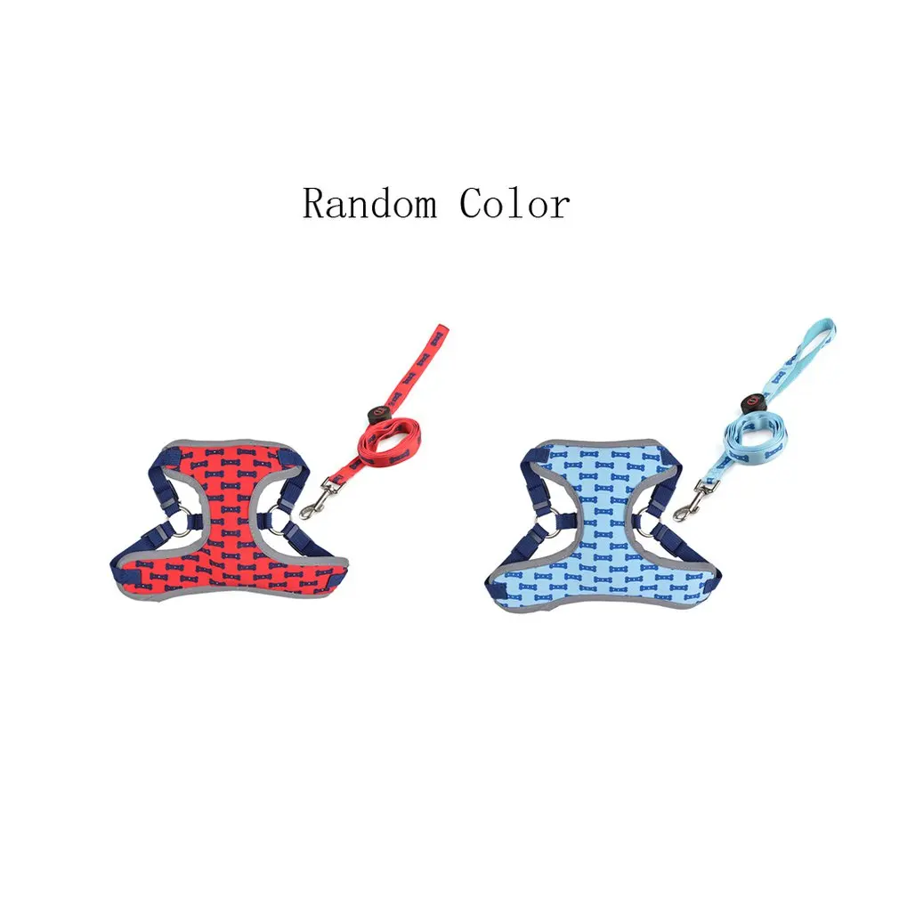 LED Dog Leash at Night Luminous Anti-Lost Leash For Dogs Puppies LED Glowing Leashes Pet Products
LED Dog Leash at Night Luminous Anti-Lost Leash For Dogs Puppies LED Glowing Leashes Pet Products