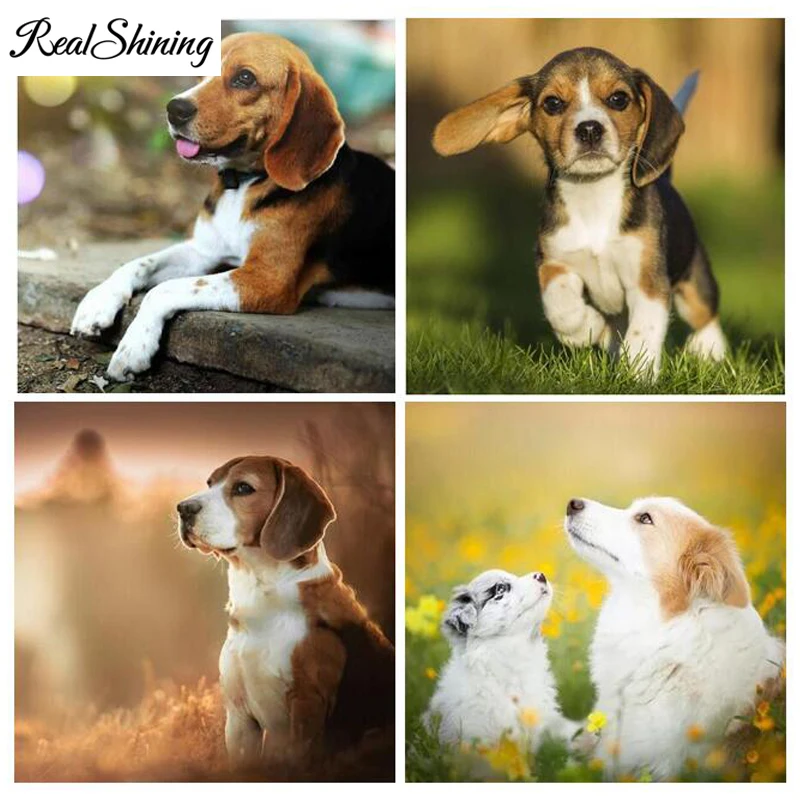 Diamond Painting cute dog Cross Stitch DIY Hobby Beagle pattern Mosaic Full Squre/Round 5D drill Diamond Embroidery Sale FS4329
Diamond Painting cute dog Cross Stitch DIY Hobby Beagle pattern Mosaic Full Squre/Round 5D drill Diamond Embroidery Sale FS4329