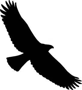 Tribal Eagle Bird Hawk Vinyl Car Window Sticker Graphic Automotive Bumper Panel Bike Motorbike Laptop Decal Drift Racing
Tribal Eagle Bird Hawk Vinyl Car Window Sticker Graphic Automotive Bumper Panel Bike Motorbike Laptop Decal Drift Racing