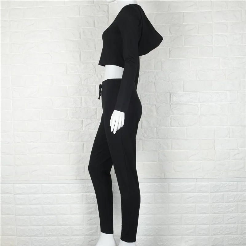 3623217123_1966242478