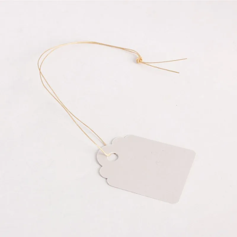 100Pcs/lot Plants Hang Tag Labels Seedling Garden Flower Pot Plastic Tags Number Plate Hanging Reusable PVC Garden Tools