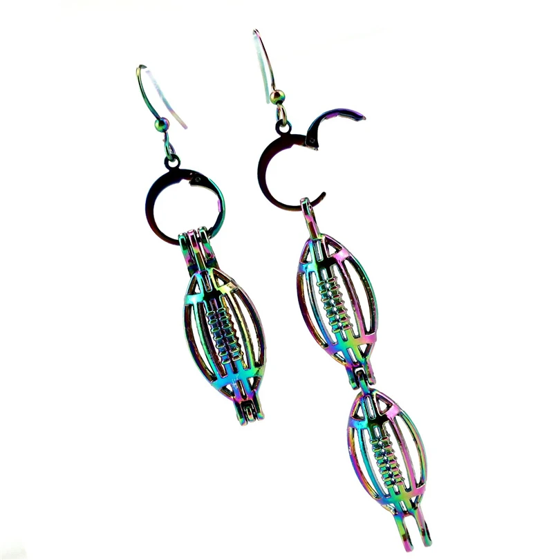 EE-C176 Rainbow Color Rugby Sport American Football Pearl Cage Pendant Earrings Hooks with equal or under 8mm Plastic Beads
EE-C176 Rainbow Color Rugby Sport American Football Pearl Cage Pendant Earrings Hooks with equal or under 8mm Plastic Beads