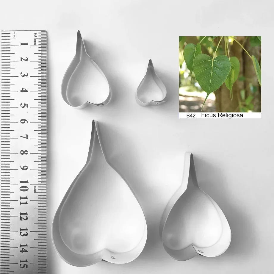 DFicus Relegiosa Leaf Full Set Cutters, Sugarcraft cutters,flower cutter, Clay tools,Clay flowercutters
DFicus Relegiosa Leaf Full Set Cutters, Sugarcraft cutters,flower cutter, Clay tools,Clay flowercutters