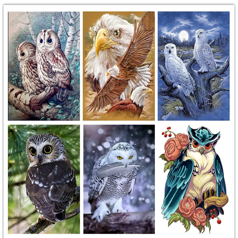 Nighthawk 5D Diy Diamond Painting Animals Owl Diamond Embroidery Full Resin Diamond Mosaic Craft Rhinestones Sewing Owl Painting
Nighthawk 5D Diy Diamond Painting Animals Owl Diamond Embroidery Full Resin Diamond Mosaic Craft Rhinestones Sewing Owl Painting