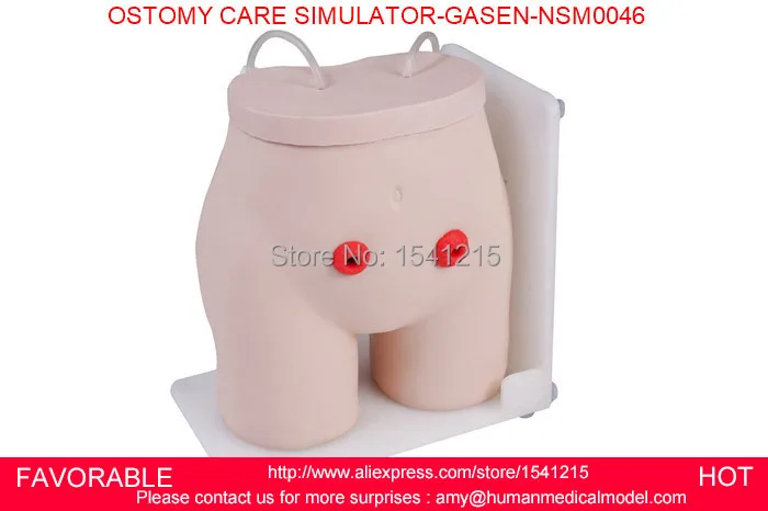 FISTULA OSTOMY NURSING ,NURSING CARE SIMULATOR, NURSING TRAINING MODEL,OSTOMY CARE SIMULATOR,OSTOMY CARE SIMULATOR-GASEN-NSM0046
FISTULA OSTOMY NURSING ,NURSING CARE SIMULATOR, NURSING TRAINING MODEL,OSTOMY CARE SIMULATOR,OSTOMY CARE SIMULATOR-GASEN-NSM0046