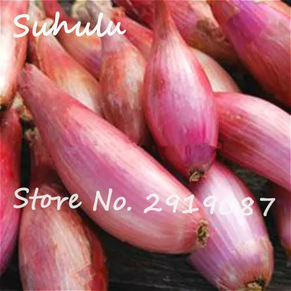 AD3B3A6F67F14DE001052641031D453B