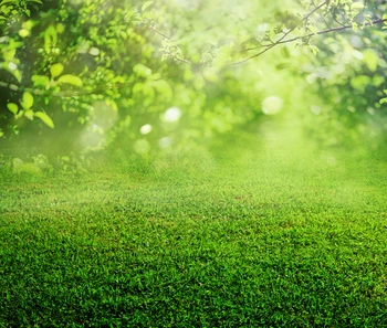 Fairy photography filming photobooth banner Backdrop Photo Background photography filming photobooth banner Backdrops XT-5470
Fairy photography filming photobooth banner Backdrop Photo Background photography filming photobooth banner Backdrops XT-5470