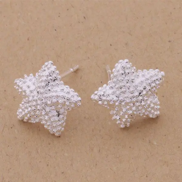 925 silver earrings 925 sterling silver fashion jewelry earrings five-pointed star inlaid stones /bfxajxea csjaljqa AE142
925 silver earrings 925 sterling silver fashion jewelry earrings five-pointed star inlaid stones /bfxajxea csjaljqa AE142