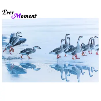 Ever Moment Diamond Painting 5D DIY Ducks Water Reflection Art Animal Rhinestone Diamond Embroidery Home Decoration S2F1887 
Ever Moment Diamond Painting 5D DIY Ducks Water Reflection Art Animal Rhinestone Diamond Embroidery Home Decoration S2F1887