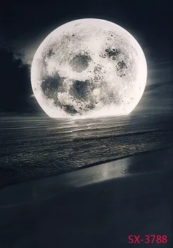 LIFE MAGIC BOX Backdrops Photography Background Naturism Children Photos Moon Lake MHSX-3788
LIFE MAGIC BOX Backdrops Photography Background Naturism Children Photos Moon Lake MHSX-3788