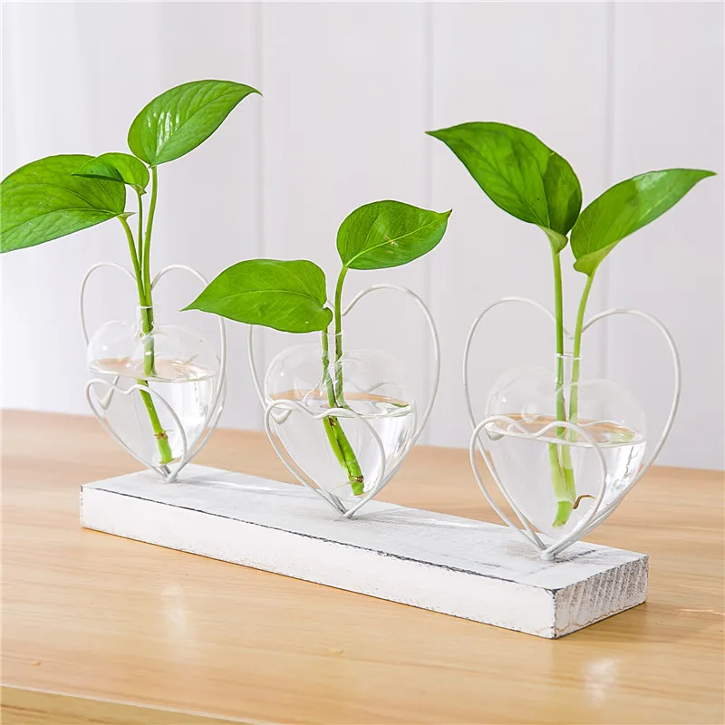 Creative Heart-shaped Iron Art Transparent Glass Hydroponic Plant Vase Planters Living Room Office Desktop Flower Pot Home Decor
Creative Heart-shaped Iron Art Transparent Glass Hydroponic Plant Vase Planters Living Room Office Desktop Flower Pot Home Decor