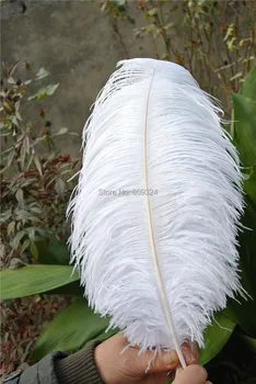 FREE SHIPPING -200 pcs 18-20inch ostrich feather white plumes for wedding centerpiece party decor home decor
FREE SHIPPING -200 pcs 18-20inch ostrich feather white plumes for wedding centerpiece party decor home decor