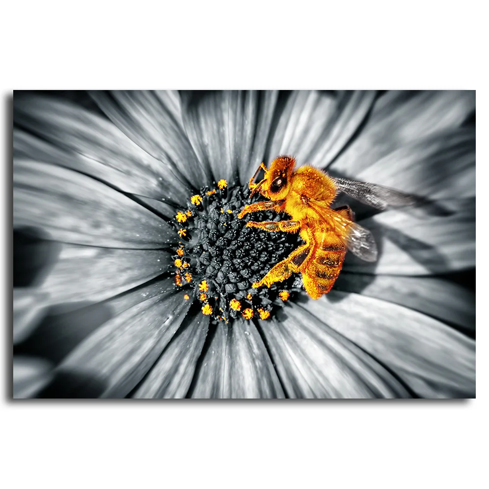 Black and white Close-up photo of a cute little yellow bee sitting on a daisies flower Canvas Posters Home Decor Wall Art
Black and white Close-up photo of a cute little yellow bee sitting on a daisies flower Canvas Posters Home Decor Wall Art