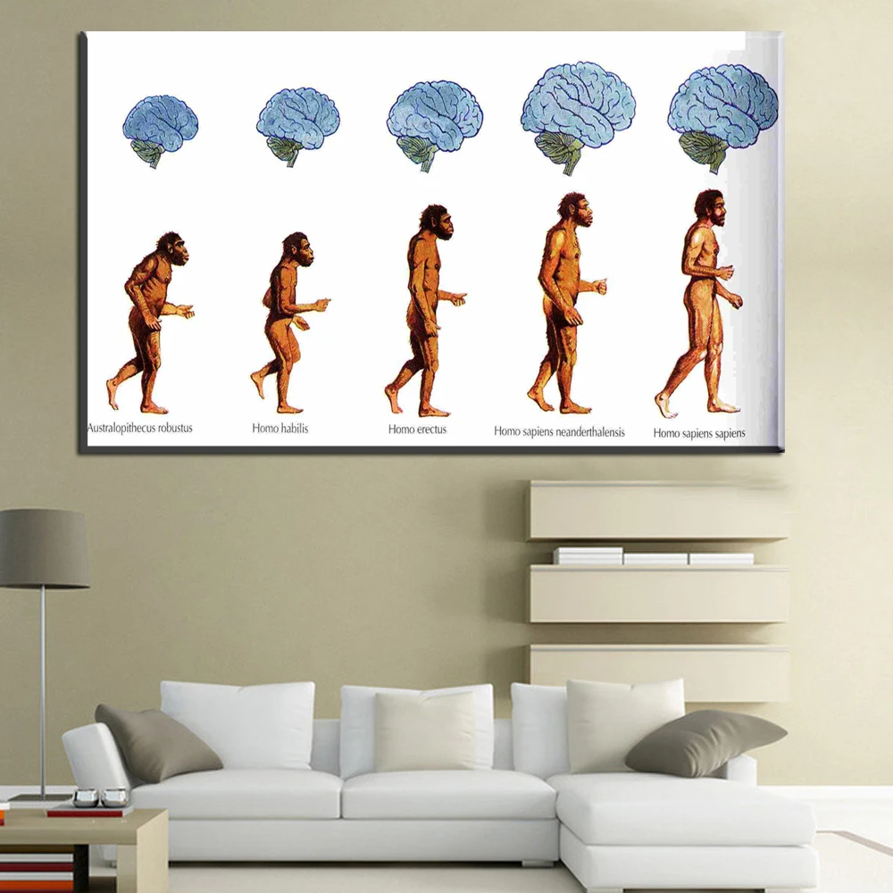 xdr681 The monkey brain Evolution to human HD wall art paper canvas painting poster for study room and office
xdr681 The monkey brain Evolution to human HD wall art paper canvas painting poster for study room and office