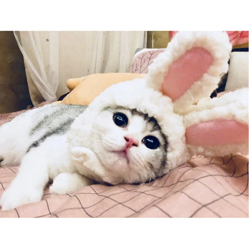 Собачьи кошки мультяшные костюмы милый белый кролик с ушами шапка собака котенок