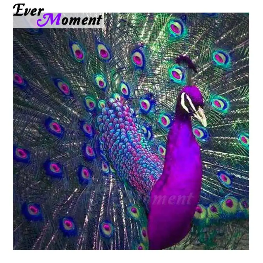 Ever Moment Diamond Painting 5D DIY Peacock Full Square Drill Home Decoration Diamond Embroidery Handmade Rhinestones S2F1670
Ever Moment Diamond Painting 5D DIY Peacock Full Square Drill Home Decoration Diamond Embroidery Handmade Rhinestones S2F1670