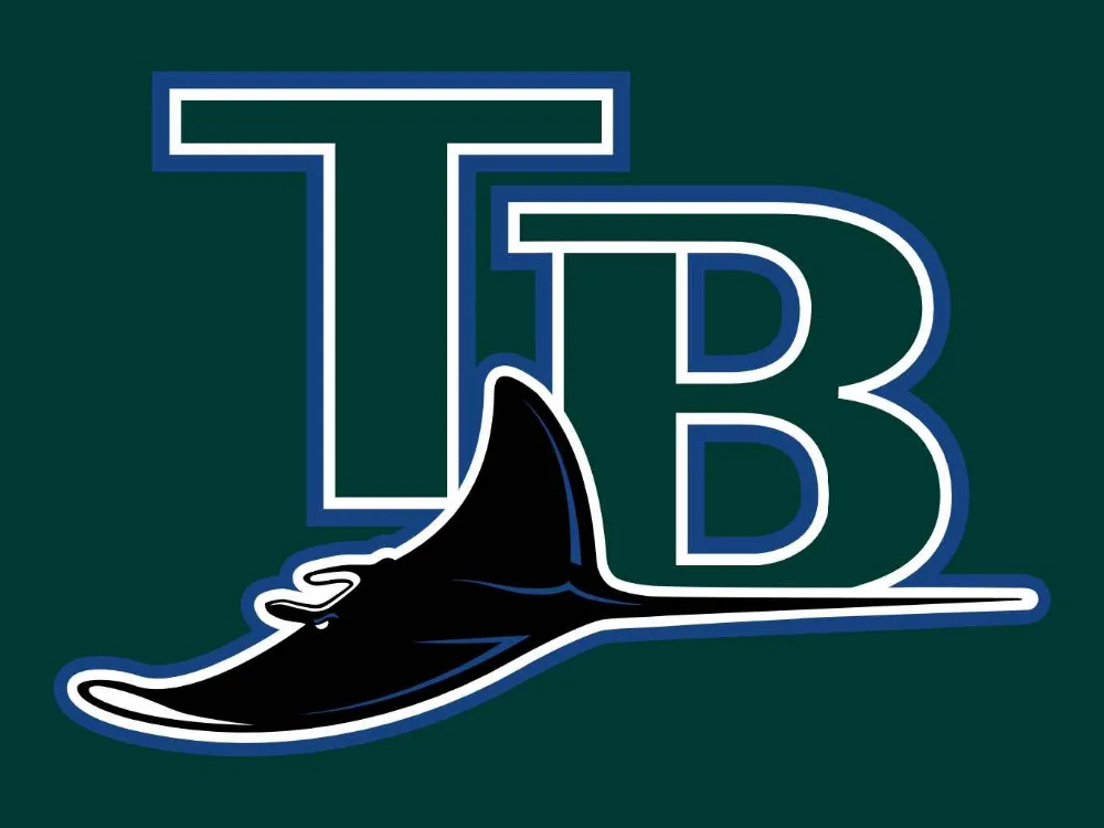 Tampa Bay Rays флаг 3'x5 знамя латунь металлические отверстия лучей флаг|tampa bay rays flag|flags