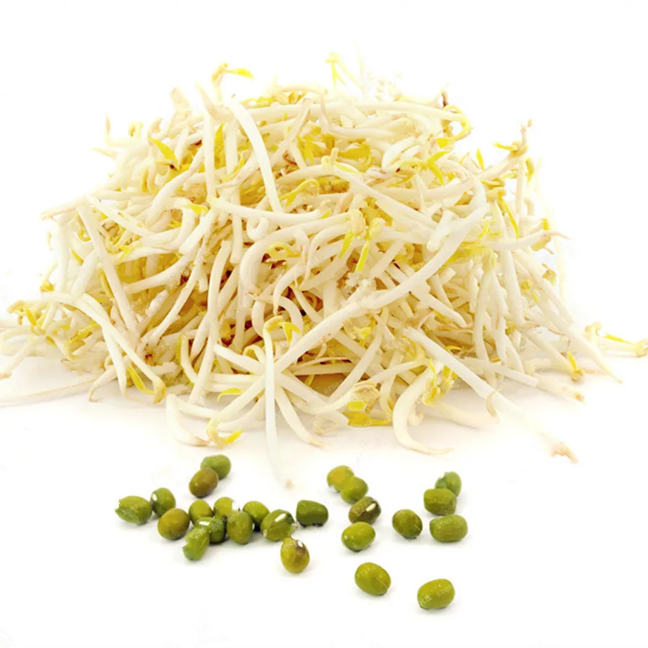 Sale 100 Pcs Green Bean Sprout Bonsai Organic Vegetable Bonsai Easy To Sprout Home Garden Balcony Bonsai Plants
Sale 100 Pcs Green Bean Sprout Bonsai Organic Vegetable Bonsai Easy To Sprout Home Garden Balcony Bonsai Plants