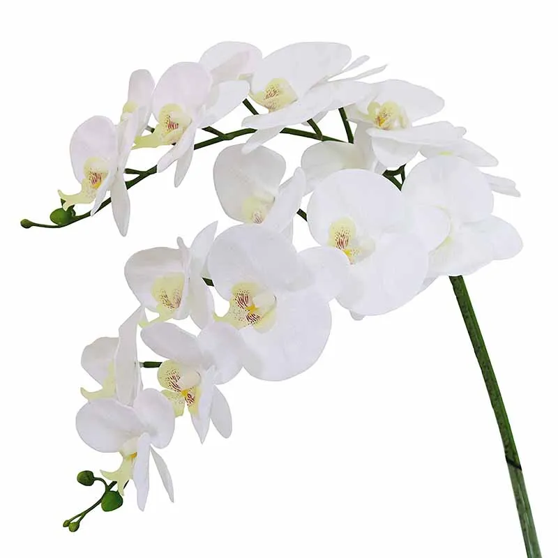 Artificial Flowers for First Communion baptism bridal shower Wedding Engagement Bachelorette party Table Centerpiece Decoration
Artificial Flowers for First Communion baptism bridal shower Wedding Engagement Bachelorette party Table Centerpiece Decoration