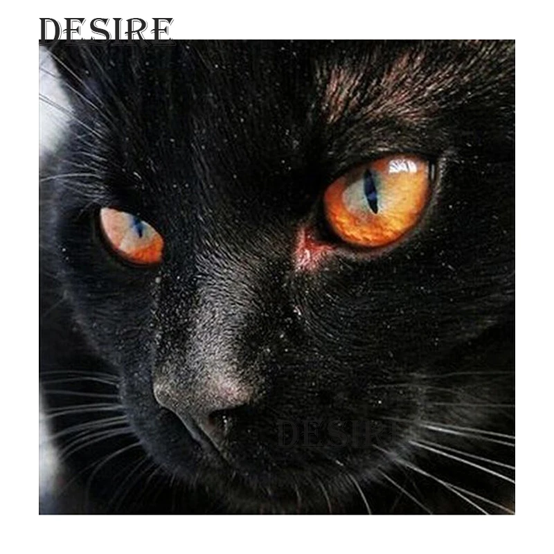 Desire Diamond Painting Cross Stitch Animal Black Cat Full Round Drill Mosaic Picture Rhinestone DIY Diamond Embroidery PT448
Desire Diamond Painting Cross Stitch Animal Black Cat Full Round Drill Mosaic Picture Rhinestone DIY Diamond Embroidery PT448