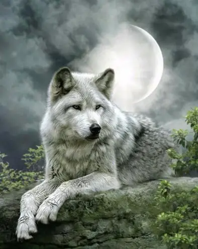Full Square Diamond 5D DIY Diamond Painting "Wolf" Embroidery Cross Stitch Rhinestone Mosaic Painting Decor
Full Square Diamond 5D DIY Diamond Painting "Wolf" Embroidery Cross Stitch Rhinestone Mosaic Painting Decor