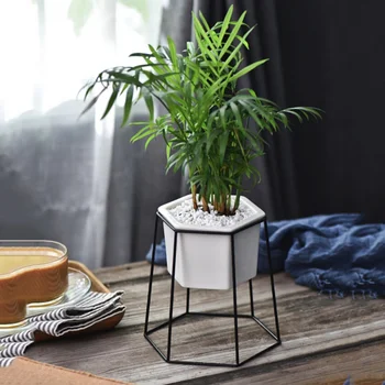 New Desktop Decoration Geometric Gold Iron Rack Holder White Small Ceramic Planter Ceramic Succulents Herb Pot Plant Flower Pot
New Desktop Decoration Geometric Gold Iron Rack Holder White Small Ceramic Planter Ceramic Succulents Herb Pot Plant Flower Pot