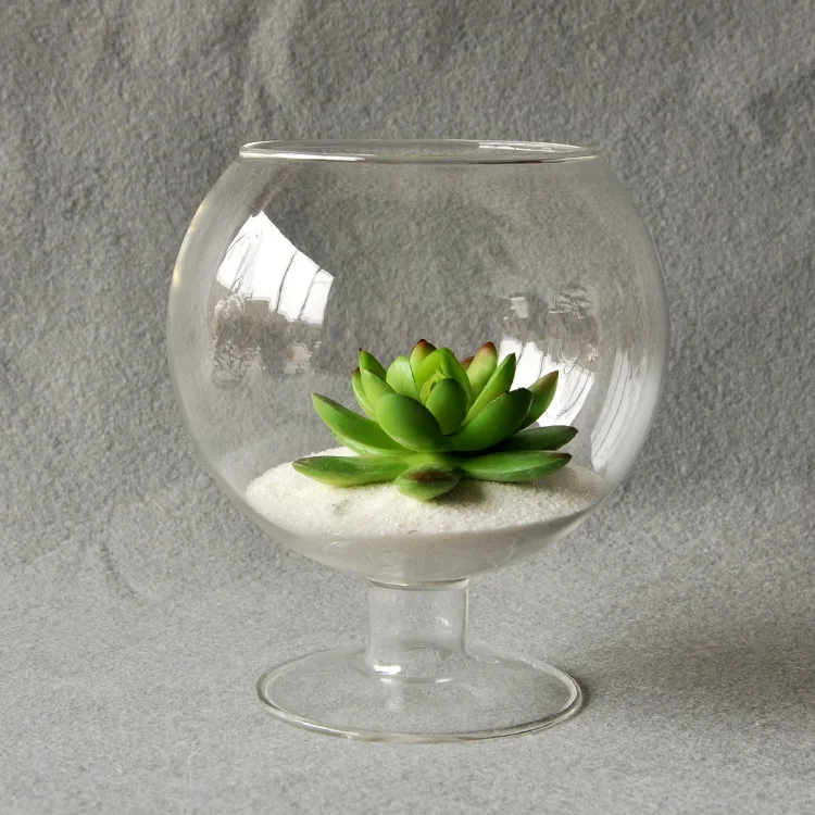 Clear Glass Vase Glass Terrarium Cup Shaped Bottle Flower Garden Decor ndoor Office Bar Decoration Ornament Home Decoration Vase
Clear Glass Vase Glass Terrarium Cup Shaped Bottle Flower Garden Decor ndoor Office Bar Decoration Ornament Home Decoration Vase