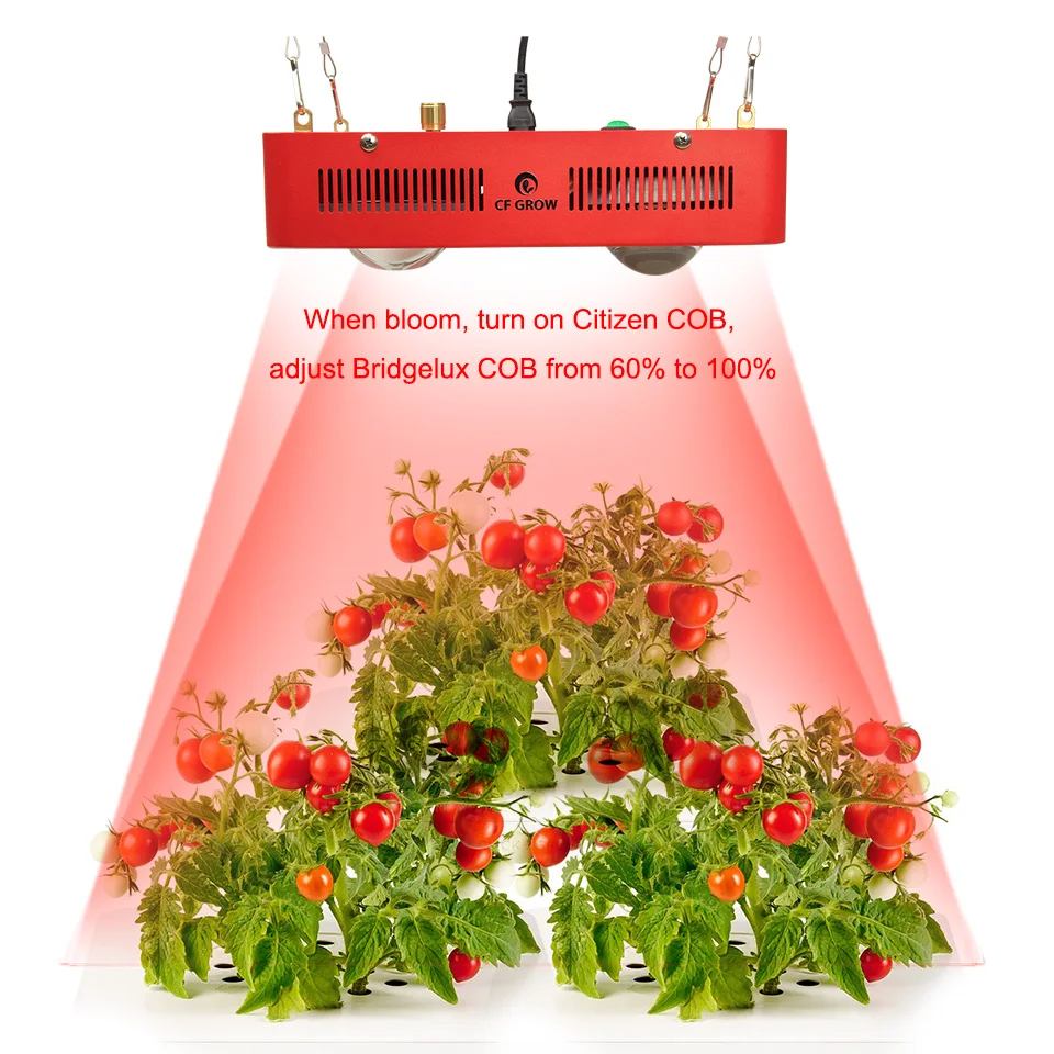 Dimmable Full Spectrum LED Grow Light 800W Citizen Bridgelux COB Indoor Hydroponics Greenhouse Plant All Stage Growing Lighting
Dimmable Full Spectrum LED Grow Light 800W Citizen Bridgelux COB Indoor Hydroponics Greenhouse Plant All Stage Growing Lighting