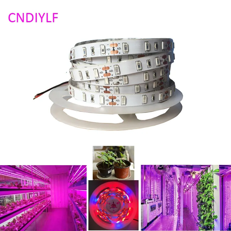 New Grow 5730/5630 SMD LED Strip Light 5m 12V 300LED 12W/m Non-Waterproof Fast Shipping
New Grow 5730/5630 SMD LED Strip Light 5m 12V 300LED 12W/m Non-Waterproof Fast Shipping