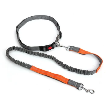 Pet Dog Running Retractable Leashes Hands Freely Great for Walking Dog Leash Rope Reflective Jogging Dog Collars Leash
Pet Dog Running Retractable Leashes Hands Freely Great for Walking Dog Leash Rope Reflective Jogging Dog Collars Leash
