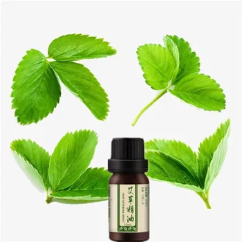 10ml Argy wormwood scent of Argy wormwood essential oil to improve sleep, removing Chloasma strengthens the immune system 
10ml Argy wormwood scent of Argy wormwood essential oil to improve sleep, removing Chloasma strengthens the immune system