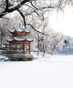 Colomac Children Photography Winter Snowscape House White Photographic Background Portrait photography Background Photo Studio
Colomac Children Photography Winter Snowscape House White Photographic Background Portrait photography Background Photo Studio