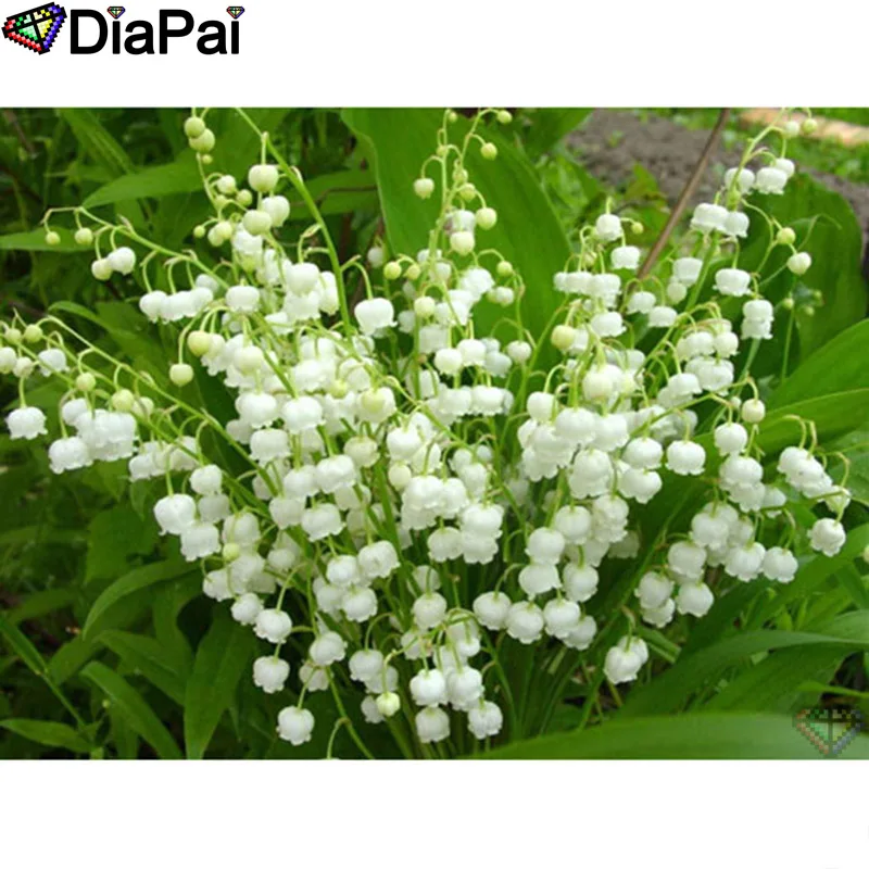 DIAPAI Diamond Painting 5D DIY 100% Full Square/Round Drill "Flower landscape" Diamond Embroidery Cross Stitch 3D Decor A24569
DIAPAI Diamond Painting 5D DIY 100% Full Square/Round Drill "Flower landscape" Diamond Embroidery Cross Stitch 3D Decor A24569