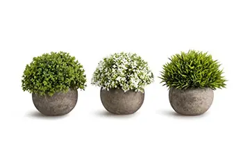 Artificial Plastic Mini Plants Unique Fake Fresh Green Grass Flower In Gray Pot For Home DÉCor &Ndash; Set Of 3 Colorful
Artificial Plastic Mini Plants Unique Fake Fresh Green Grass Flower In Gray Pot For Home DÉCor &Ndash; Set Of 3 Colorful