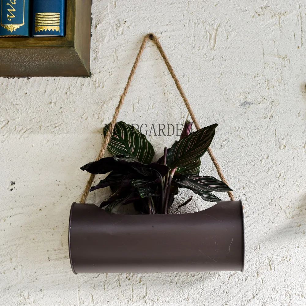 Hanging Planter Iron and Rope Modern Succulent Cactus Pots Decorative Display Flower Pot
Hanging Planter Iron and Rope Modern Succulent Cactus Pots Decorative Display Flower Pot