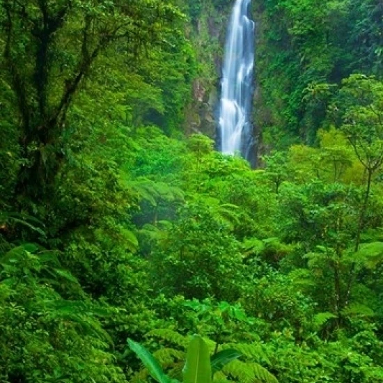 Father Falls Trafalgar Falls Dominica West Indies Poster Print by Brian Jannsen (24 x 36)