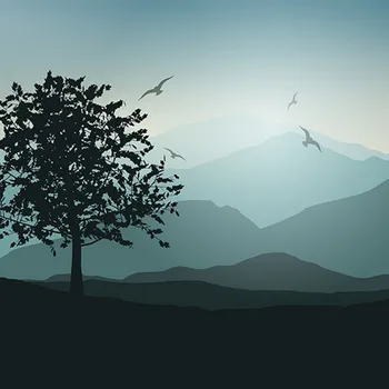 Bird Bokeh Tree Mountain Night Forest backdrop Vinyl cloth High quality Computer printed wall Backgrounds
Bird Bokeh Tree Mountain Night Forest backdrop Vinyl cloth High quality Computer printed wall Backgrounds