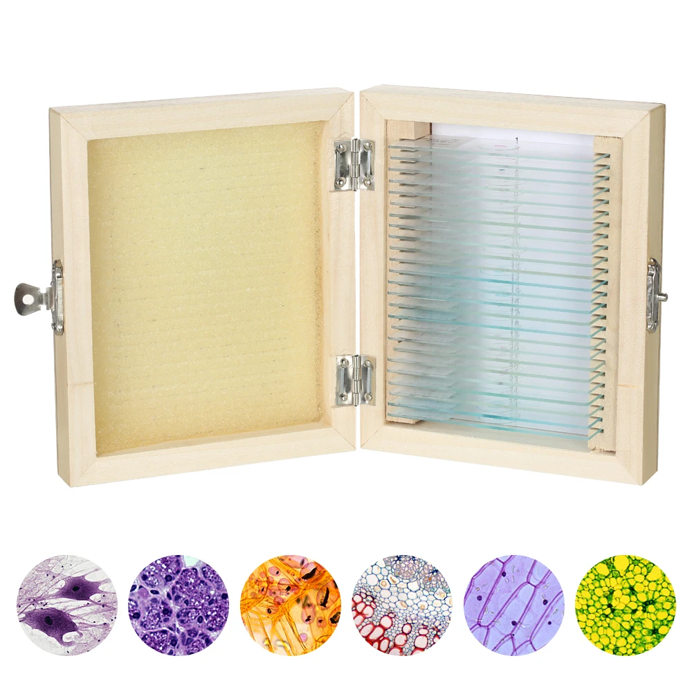 KKmoon 25pcs/set Prepared Microscope Slides Animal Plants Insects Tissues Specimens Slides Set with Wooden Case for Basic
KKmoon 25pcs/set Prepared Microscope Slides Animal Plants Insects Tissues Specimens Slides Set with Wooden Case for Basic