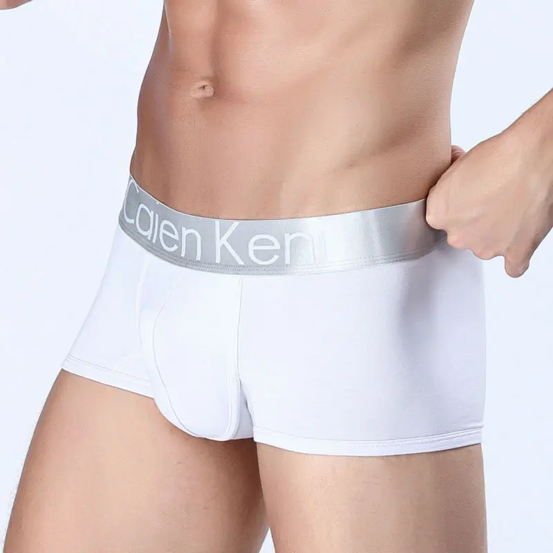 2017-NEW-Summer-dress-Caienkeni-Cotton-Underwear-Men-Boxer-Shorts-mens-underwear-Male-Panties (4)