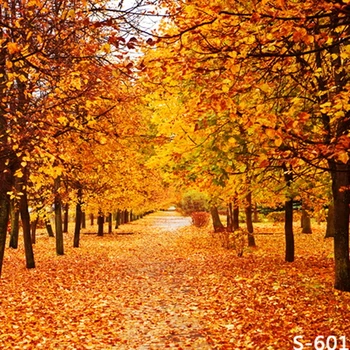 5X7ft Autumn Maple Tree Fallen Leaves Vinyl Backdrops Computer Printed Children Wedding Photography Studio
5X7ft Autumn Maple Tree Fallen Leaves Vinyl Backdrops Computer Printed Children Wedding Photography Studio