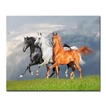 DIY Coloring Picture By Numbers Calligraphy Oil Painting Kits Colors Horse Canvas Framework For Living Room Decor Animal Drawing
DIY Coloring Picture By Numbers Calligraphy Oil Painting Kits Colors Horse Canvas Framework For Living Room Decor Animal Drawing