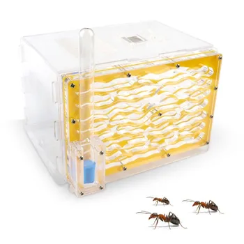 T Design DIY Ant Nest With Feeding Area Acrylic Ant Farm Insect Ant Nests Villa Pet Mania For House Ants
T Design DIY Ant Nest With Feeding Area Acrylic Ant Farm Insect Ant Nests Villa Pet Mania For House Ants