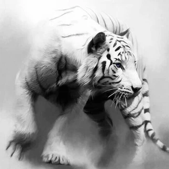 new 5D Diy Diamond Painting Kits White Tiger Square/Round Drill Rhinestone Pasted Diamond Painting HOME Decorative gift H1056
new 5D Diy Diamond Painting Kits White Tiger Square/Round Drill Rhinestone Pasted Diamond Painting HOME Decorative gift H1056